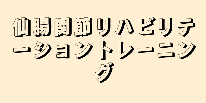 仙腸関節リハビリテーショントレーニング