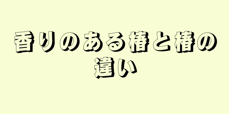 香りのある椿と椿の違い