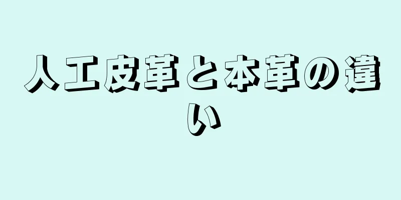 人工皮革と本革の違い