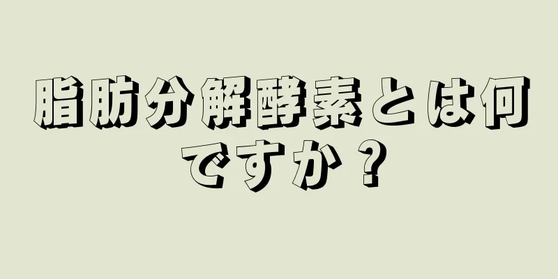 脂肪分解酵素とは何ですか？