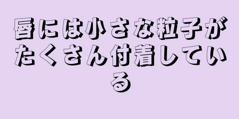 唇には小さな粒子がたくさん付着している