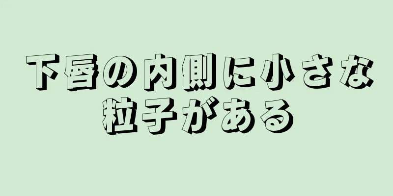 下唇の内側に小さな粒子がある