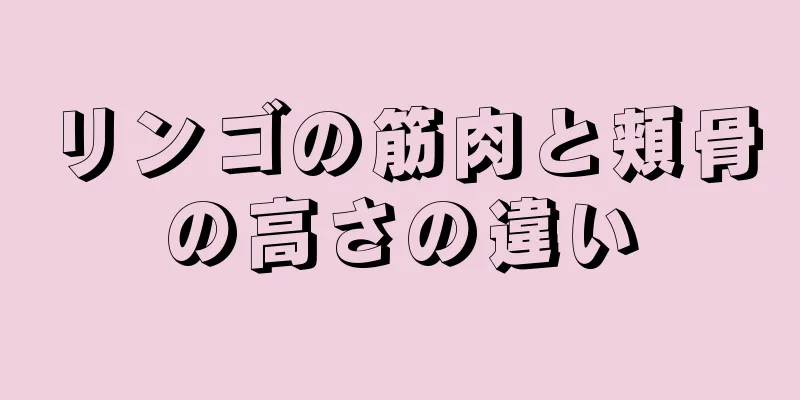 リンゴの筋肉と頬骨の高さの違い