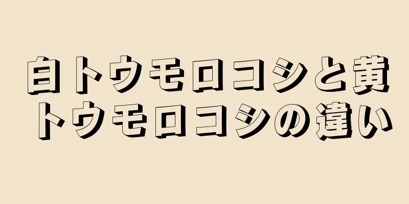 白トウモロコシと黄トウモロコシの違い