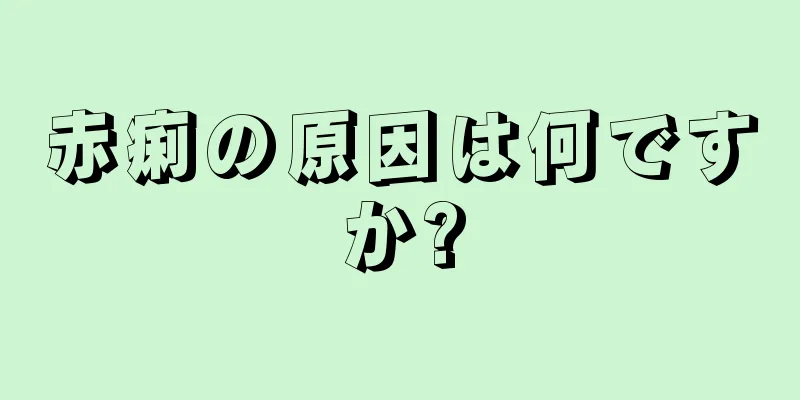 赤痢の原因は何ですか?