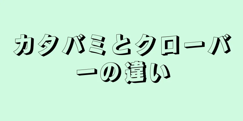 カタバミとクローバーの違い