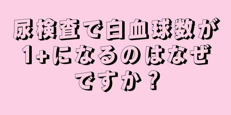 尿検査で白血球数が1+になるのはなぜですか？