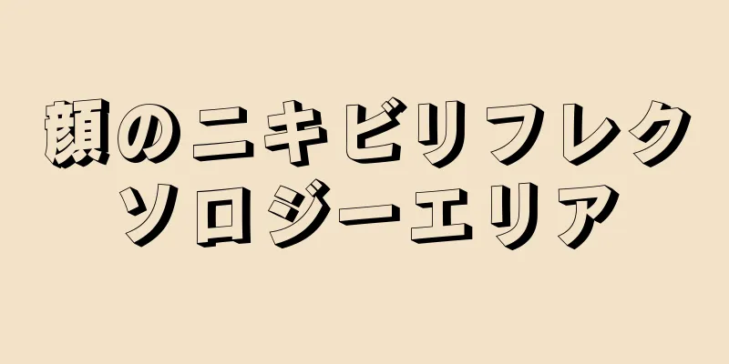 顔のニキビリフレクソロジーエリア