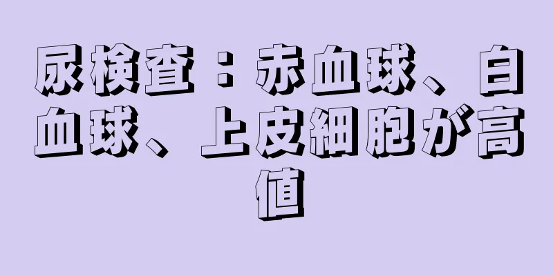 尿検査：赤血球、白血球、上皮細胞が高値