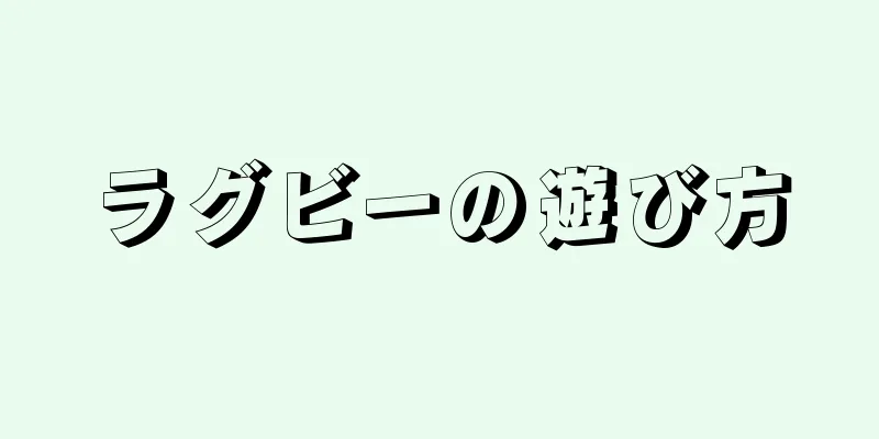 ラグビーの遊び方