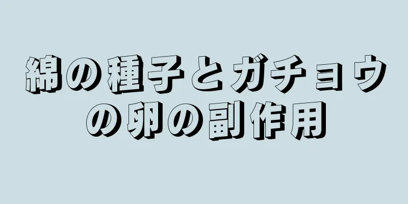 綿の種子とガチョウの卵の副作用