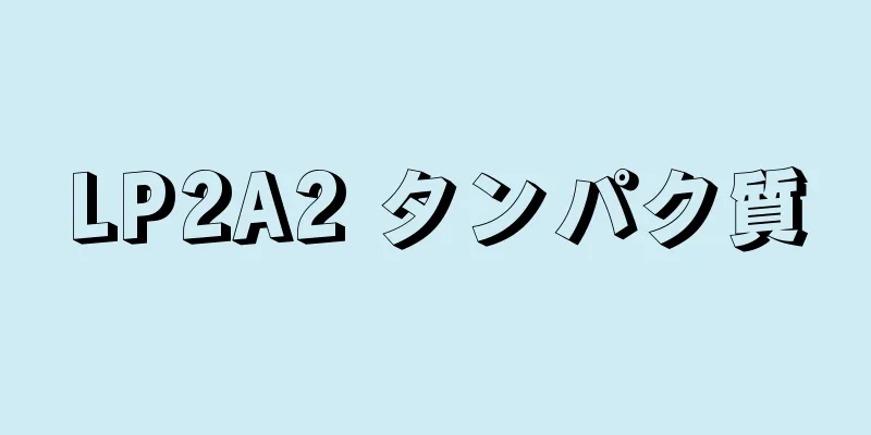 LP2A2 タンパク質