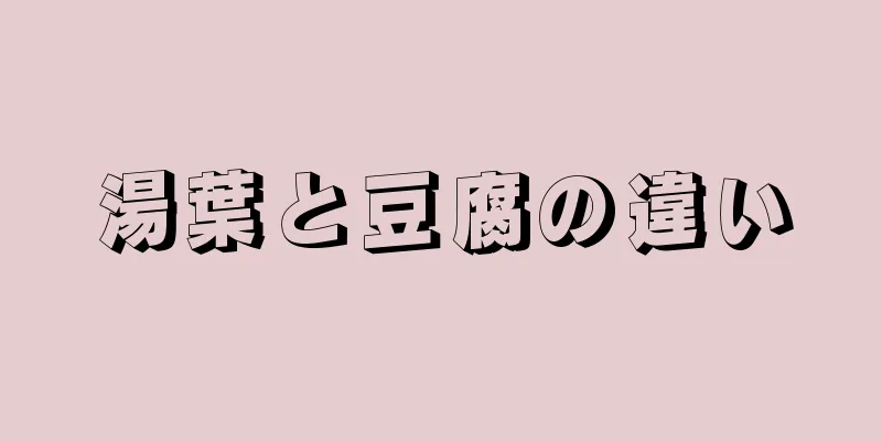 湯葉と豆腐の違い