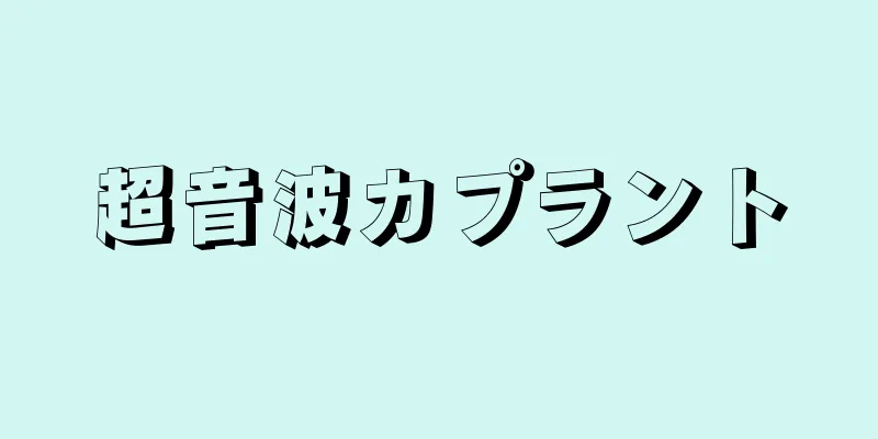 超音波カプラント