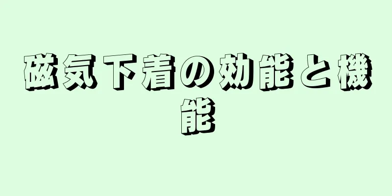 磁気下着の効能と機能