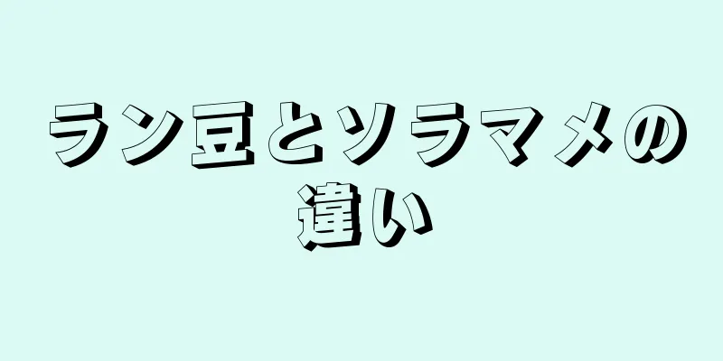 ラン豆とソラマメの違い