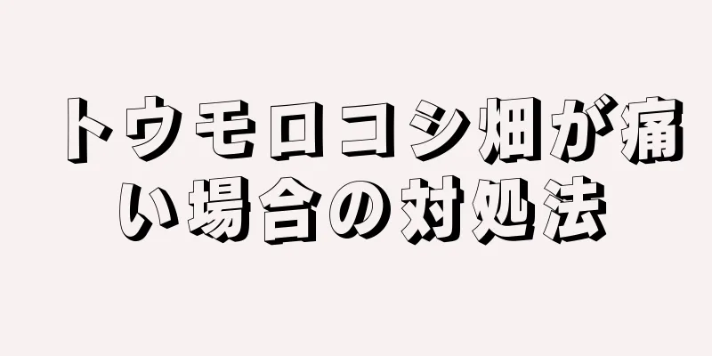 トウモロコシ畑が痛い場合の対処法