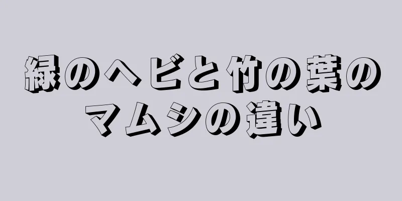 緑のヘビと竹の葉のマムシの違い