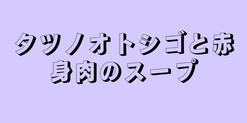 タツノオトシゴと赤身肉のスープ