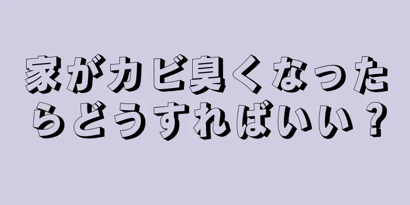 家がカビ臭くなったらどうすればいい？