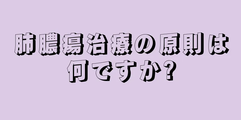 肺膿瘍治療の原則は何ですか?