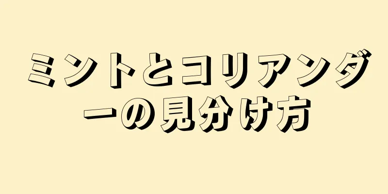 ミントとコリアンダーの見分け方