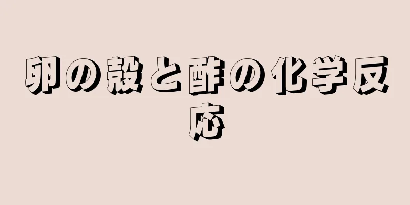 卵の殻と酢の化学反応