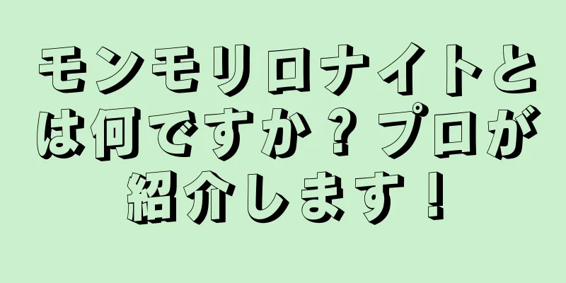 モンモリロナイトとは何ですか？プロが紹介します！