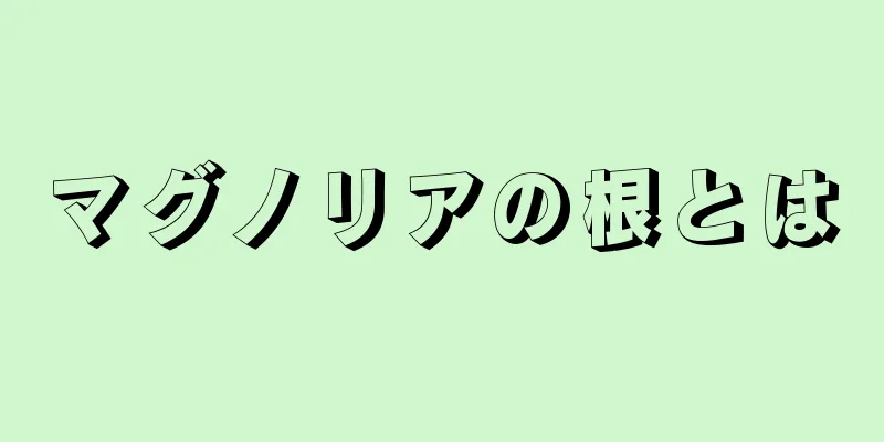 マグノリアの根とは