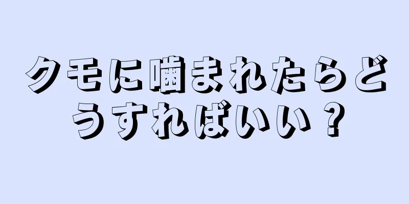 クモに噛まれたらどうすればいい？