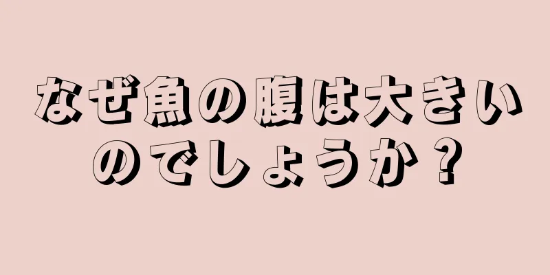 なぜ魚の腹は大きいのでしょうか？