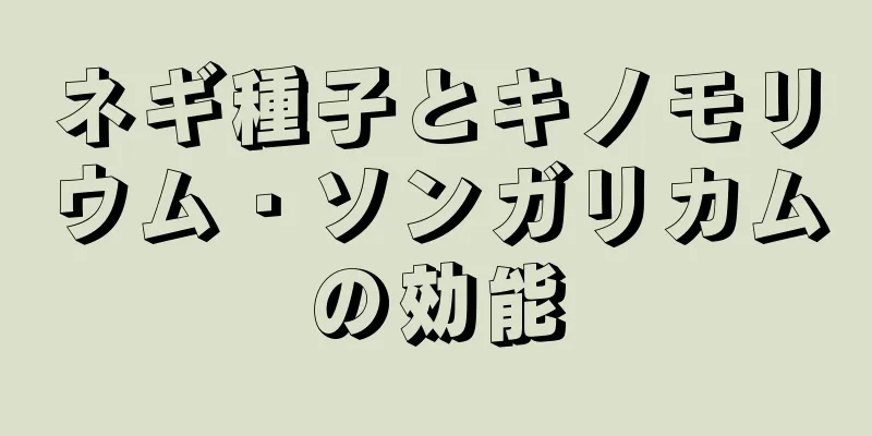 ネギ種子とキノモリウム・ソンガリカムの効能