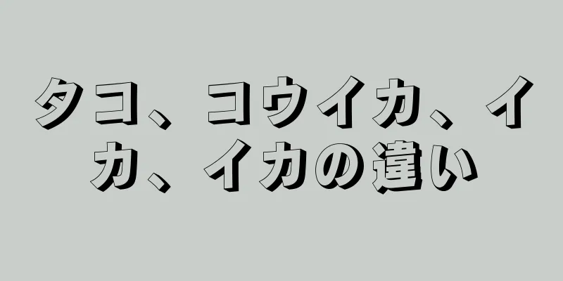 タコ、コウイカ、イカ、イカの違い