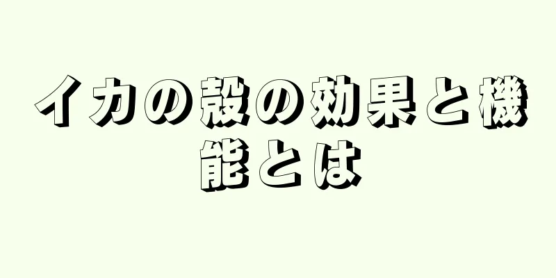 イカの殻の効果と機能とは