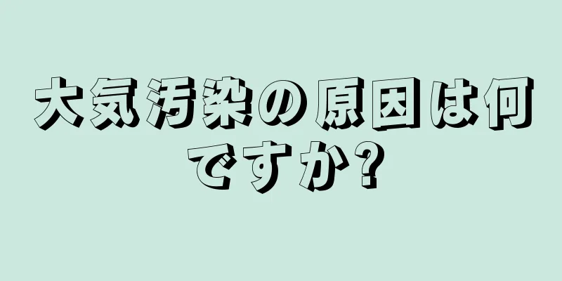 大気汚染の原因は何ですか?