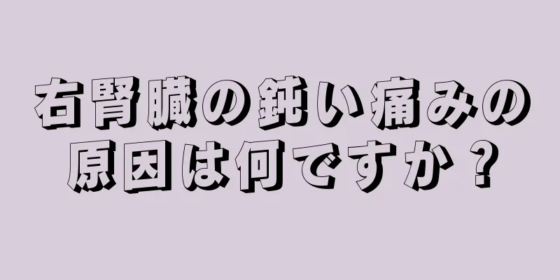 右腎臓の鈍い痛みの原因は何ですか？