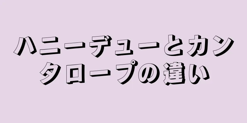 ハニーデューとカンタロープの違い