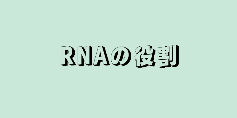 RNAの役割