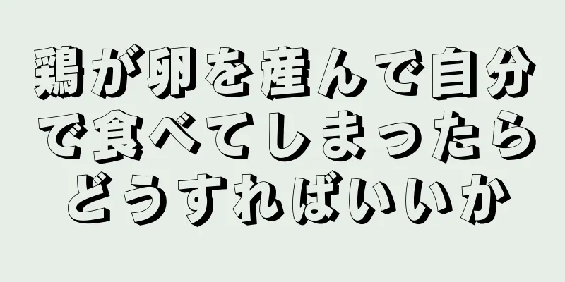 鶏が卵を産んで自分で食べてしまったらどうすればいいか