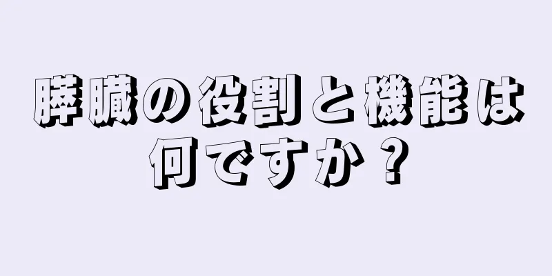 膵臓の役割と機能は何ですか？