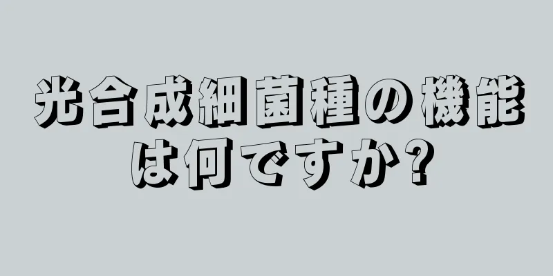 光合成細菌種の機能は何ですか?