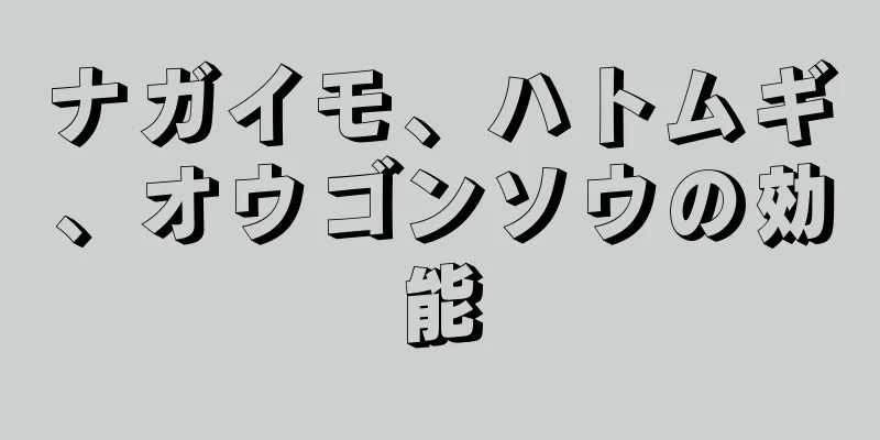 ナガイモ、ハトムギ、オウゴンソウの効能