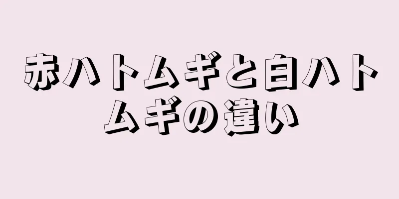 赤ハトムギと白ハトムギの違い