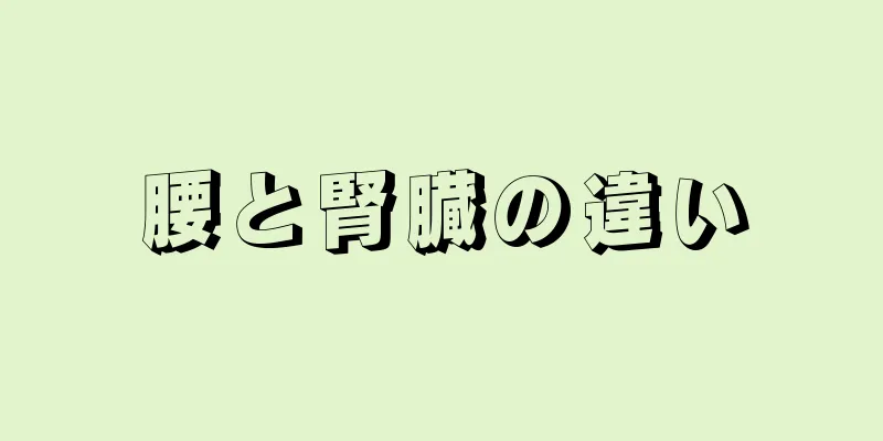 腰と腎臓の違い