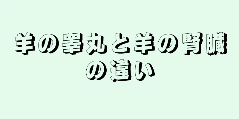 羊の睾丸と羊の腎臓の違い