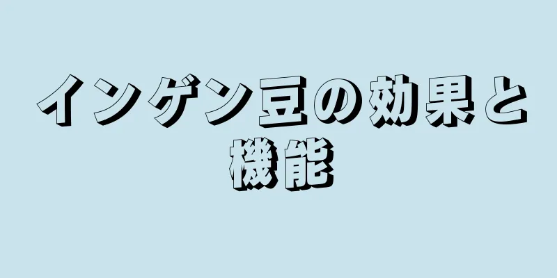 インゲン豆の効果と機能