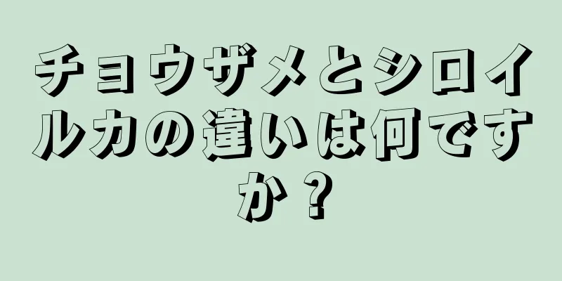 チョウザメとシロイルカの違いは何ですか？