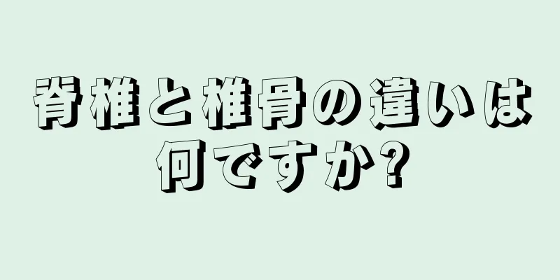 脊椎と椎骨の違いは何ですか?