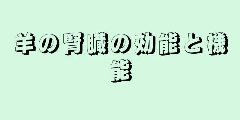 羊の腎臓の効能と機能