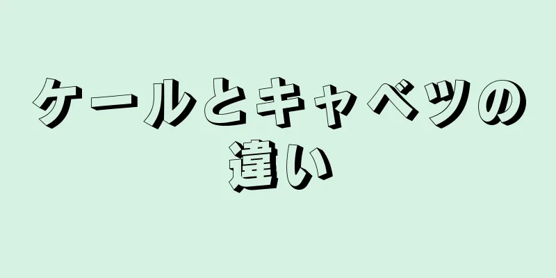 ケールとキャベツの違い